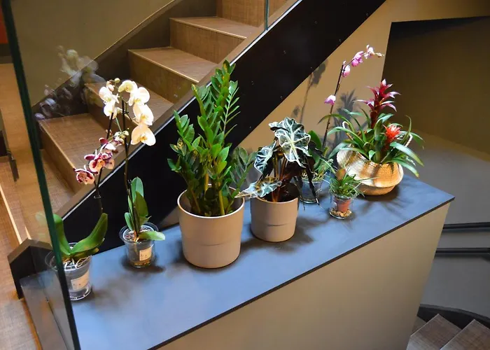 M&uga Hotela 2* Elorrio