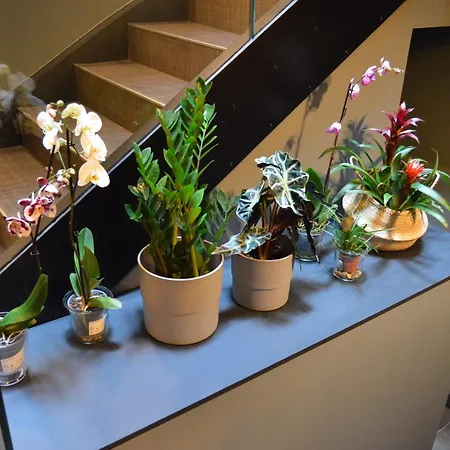 M&uga Hotela 2* Elorrio